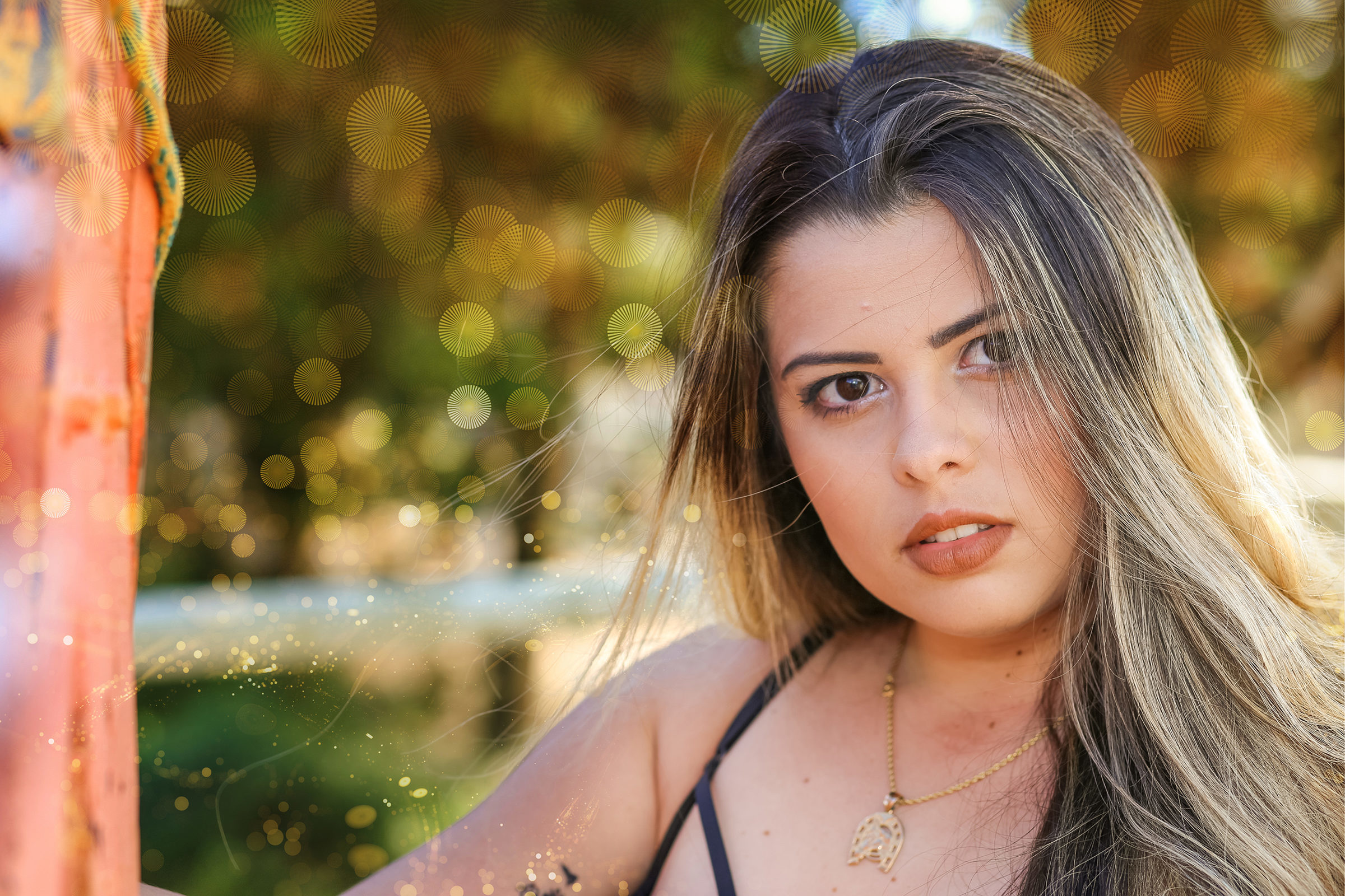 Foto de Pl&iacute;nio Figueiredo 8